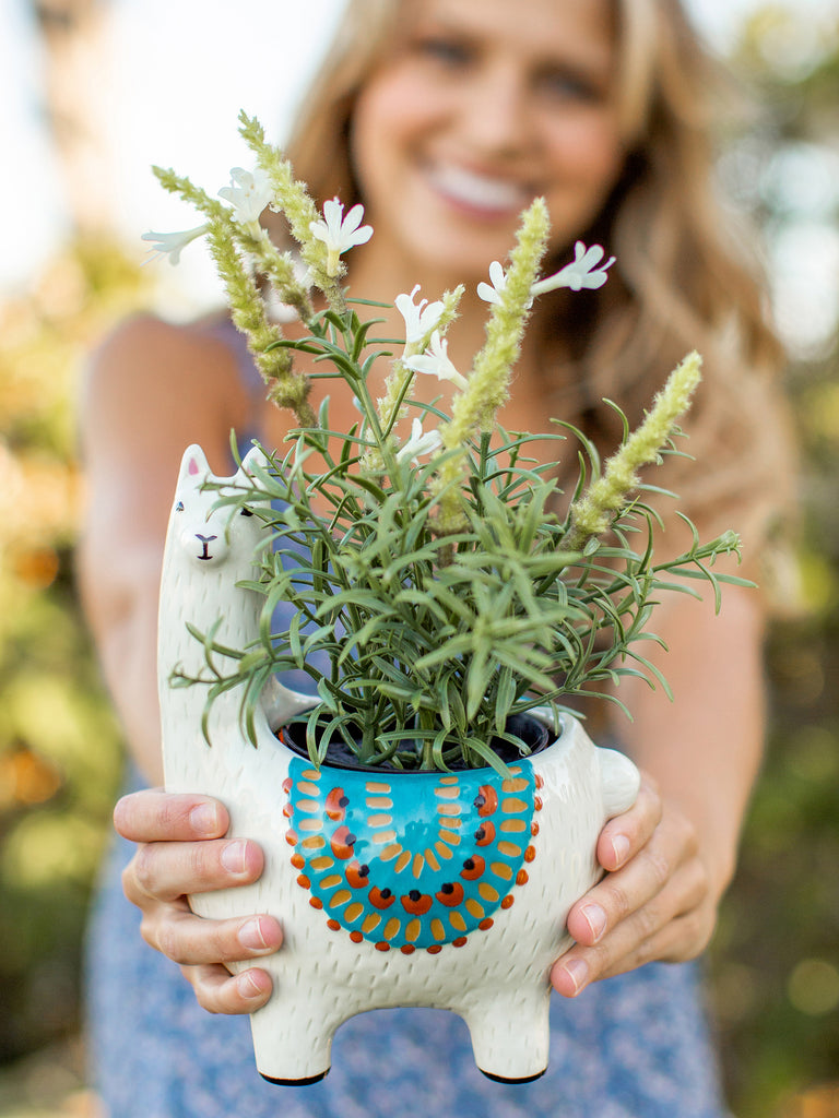 So Cute Ceramic Planter - Lesli The Llama-view 1